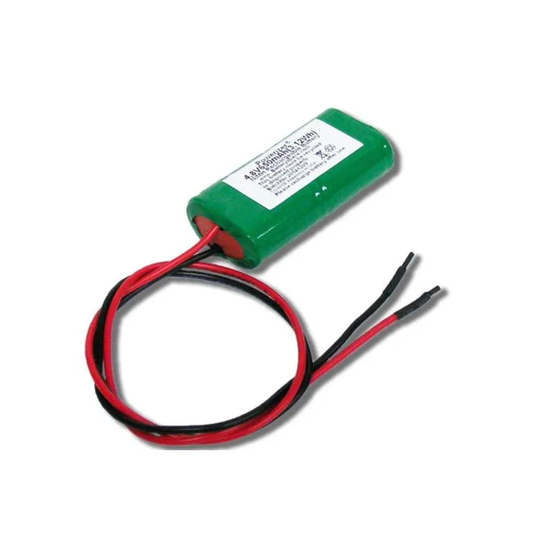 600mah batterie 4.8V