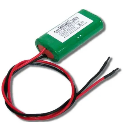 600mah batterie 4.8V