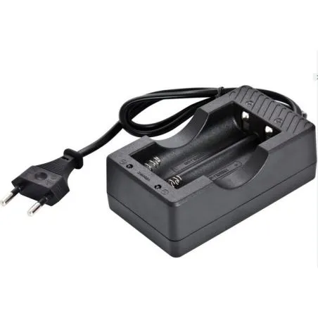 Chargeur pour batterie lithium 18650 500 mAh