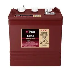 Batterie TROJAN T-605