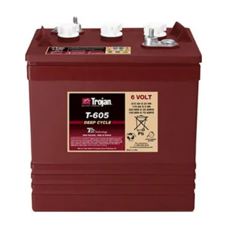 Batterie TROJAN T-605