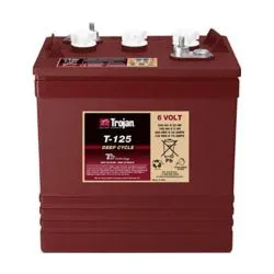 (Ancien modèle) Trojan Motive T-125 6V 240Ah Batterie au Plomb Inondée à Décharge Profonde