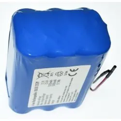 Pack de Batteries au Lithium 18650 11.1 V 5200mAh