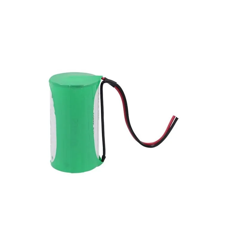 Batterie au Lithium de 3,6 V 6000mAh