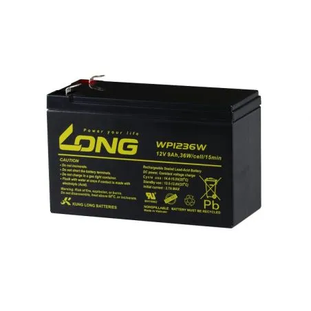 Batterie au Plomb-Acide AGM 12V 9Ah LONG WP1236W