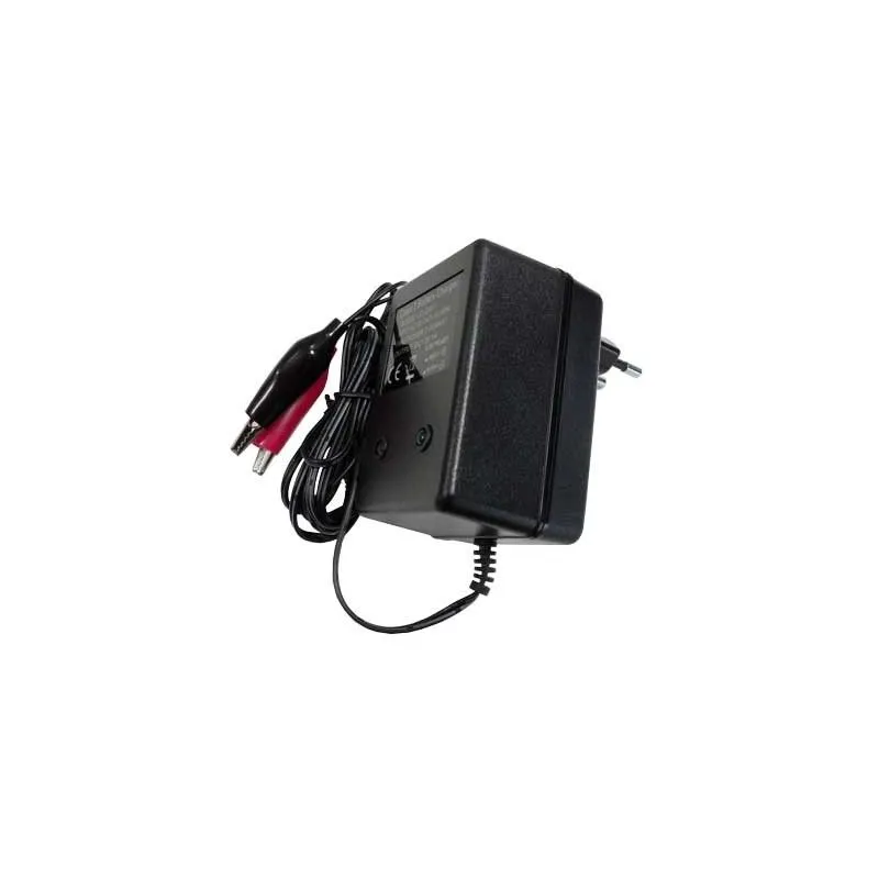 Chargeur pour batteries au plomb 12V 1A