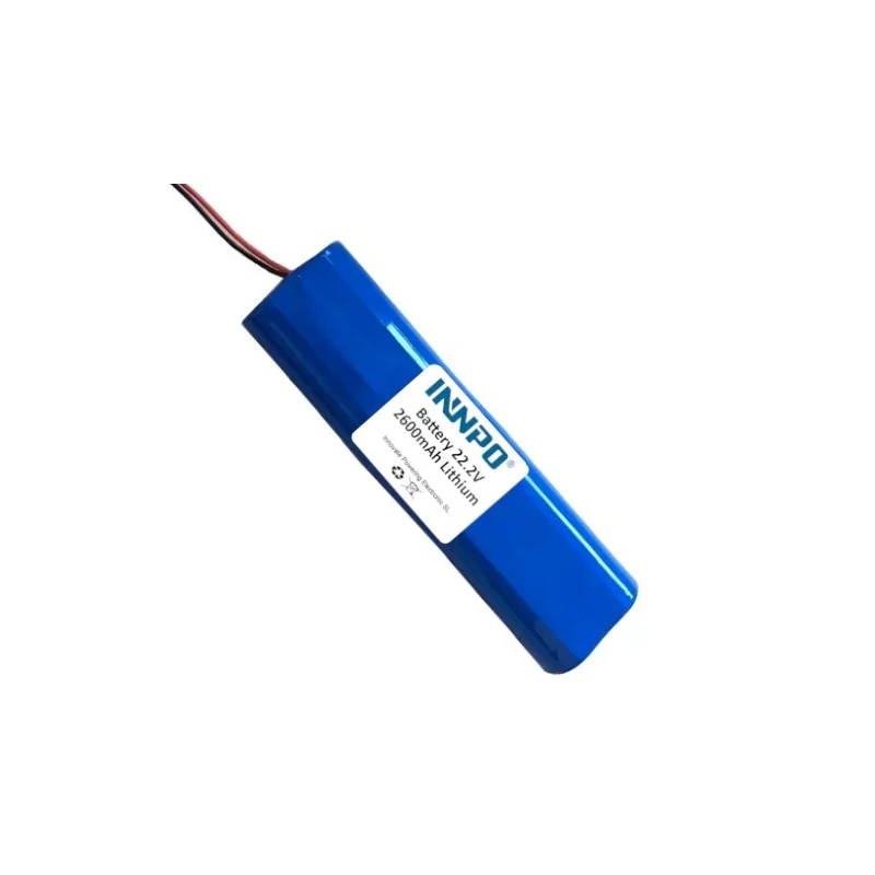 Pack de Batteries de Lithium 18650 22.2V 2600mAh type 2