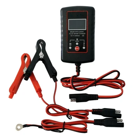 Acide de plomb chargeur de batterie 6V et 12V 2A