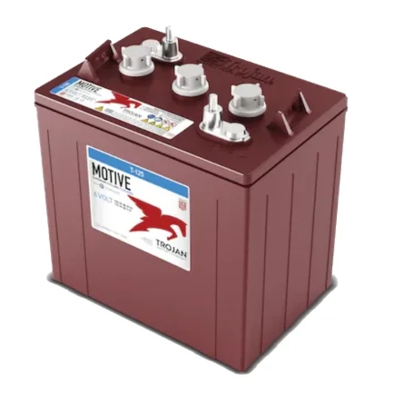 Trojan Motive T-125 6V 240Ah Batterie au Plomb Inondée à Décharge Profonde