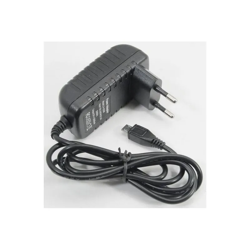 Chargeur Tablette 5V 2A avec connecteur microusb