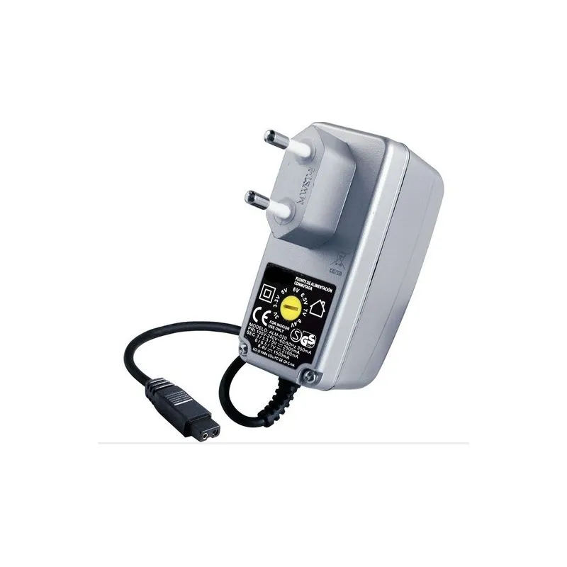 Adaptateur d'alimentation 3-8.4 Vdc