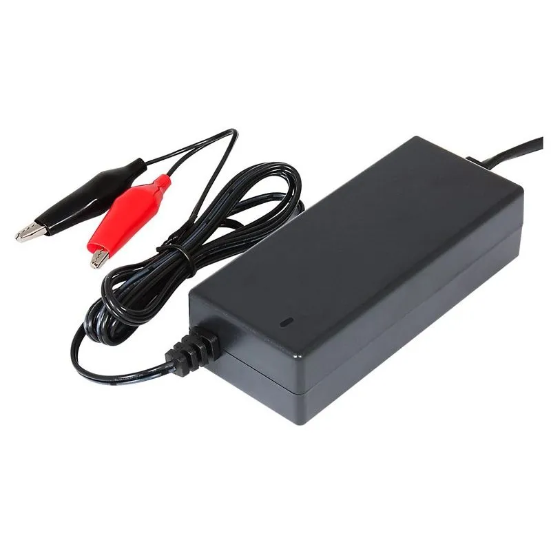 Chargeur de Batteries plomb-acide, 12V 2A
