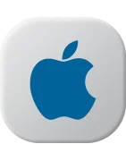 Apple chargeur